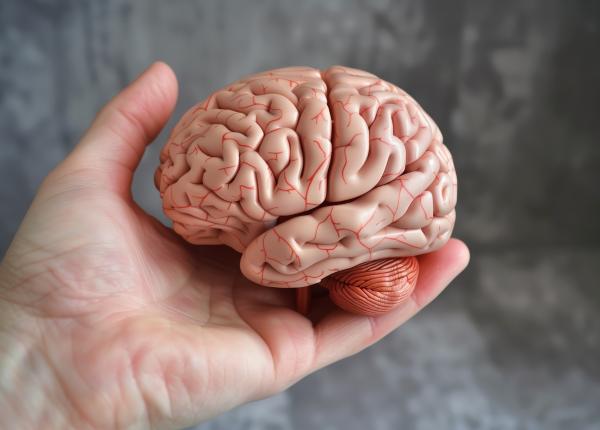 proteinele cerebrale insolubile factorii determinanti in boala alzheimer rolul proteinelor in progresia bolii alzheimer