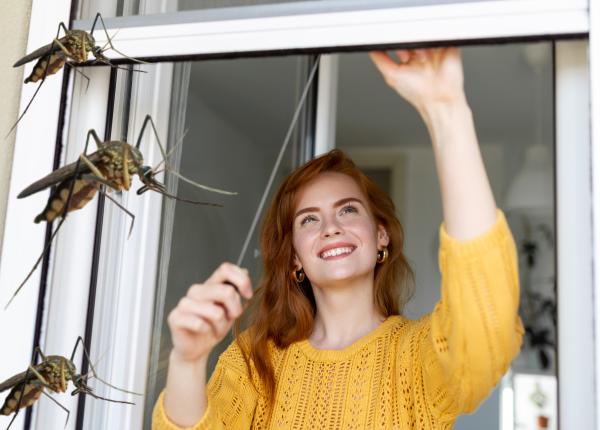 ingredientul care te scapa definitiv de tantari si intepaturi pune l pe piele in casa sau afara