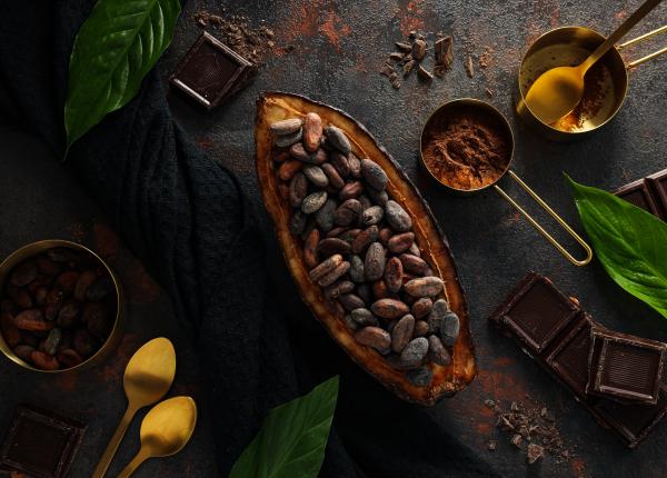 ciocolata neagra promoveaza regenerarea celulelor stem