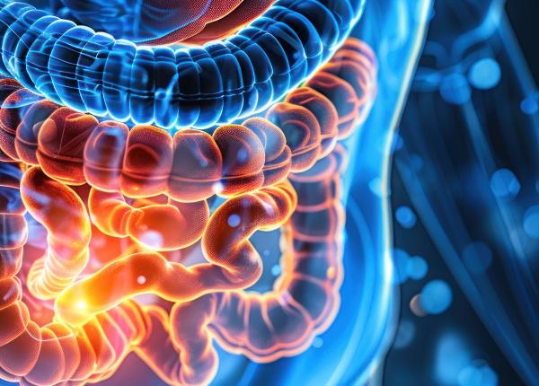 lucrul care te scapa pe problemele intestinale postul intermitent