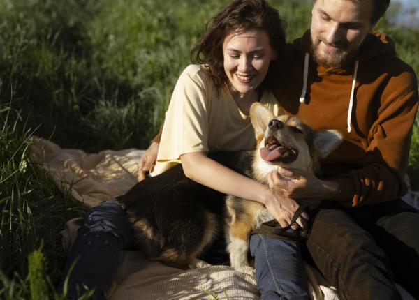 beneficiile oferite de animalele de companie de la reducerea stresului la imbunatatirea conditiei fizice