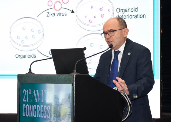 intalnirea regionala wfnr efnr 2024 rezerva cerebrala neuroplasticitatea si neuroregenerarea factori determinanti in recuperarea pacientilor cu leziuni cerebrale