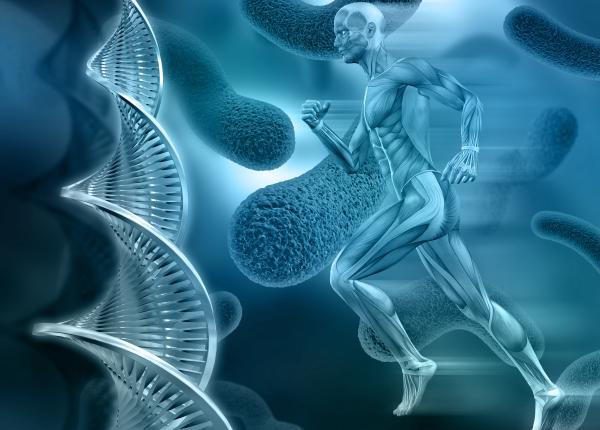 interactiunea dintre monocite si trombocite noi descoperiri