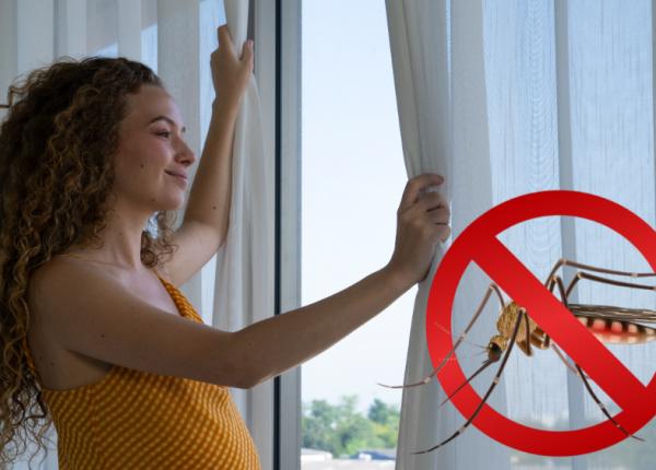 cum sa tii tantarii la distanta trucuri care sigur functioneaza cum sa tii tantarii la distanta trucuri care sigur functioneaza