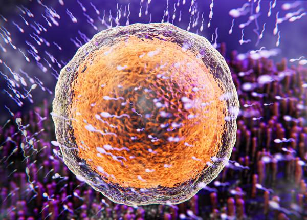 5 obiceiuri care te imbolnavesc de cancer factori de risc modificabili