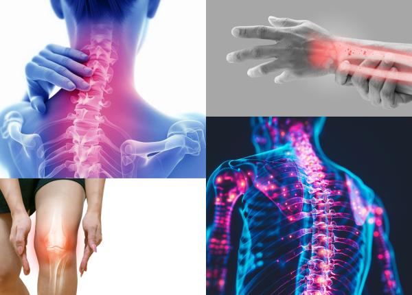 osteoporoza terapia anabolica dexa masa osoasa dr catalina poiana osteoporoza terapia anabolica dexa masa osoasa dr catalina poiana