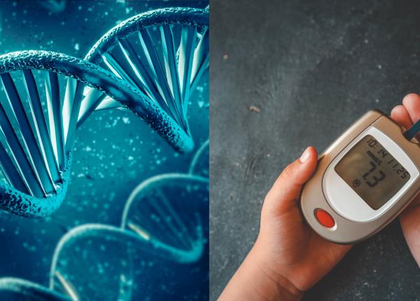 cauza care provoaca diabet ce rol joaca factorii genetici dr doru negru poti sa faci un pui de diabet cauza care provoaca diabet ce rol joaca factorii genetici dr doru negru poti sa faci un pui de diabet