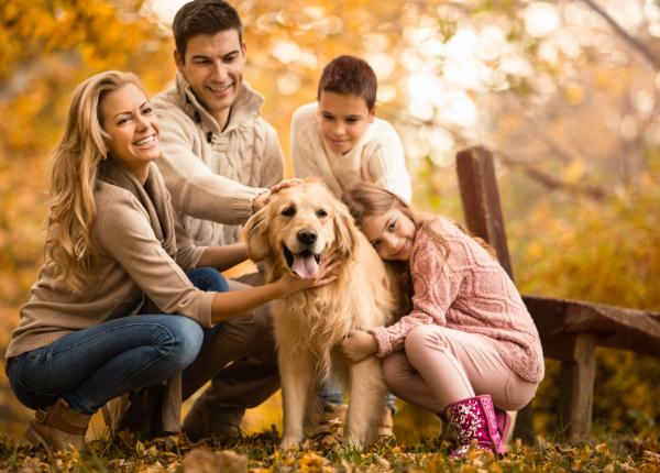 boala crohn rolul surprinzator al cainilor si familiei numeroase in preventie