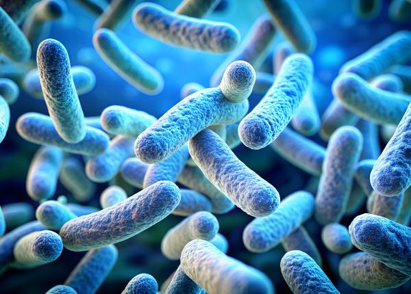 cum functioneaza probioticele si de ce sunt esentiale pentru digestie