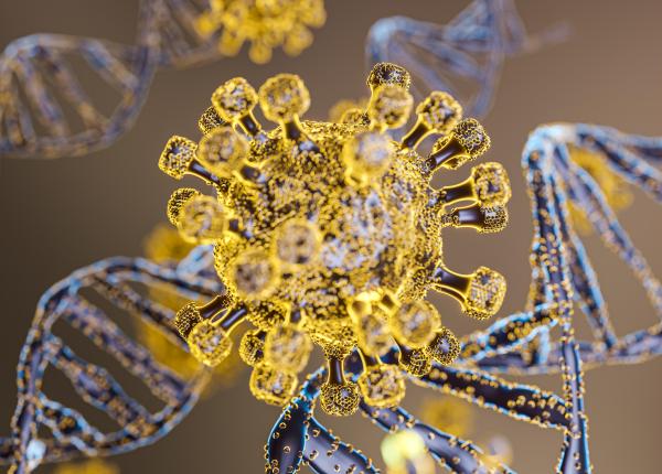 ddrc proteina care repara adn ul si previne cancerul