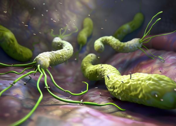 helicobacter pylori bacteria distruge stomacul ulcer cancer gastric dr bogdan martian helicobacter pylori bacteria distruge stomacul ulcer cancer gastric dr bogdan martian