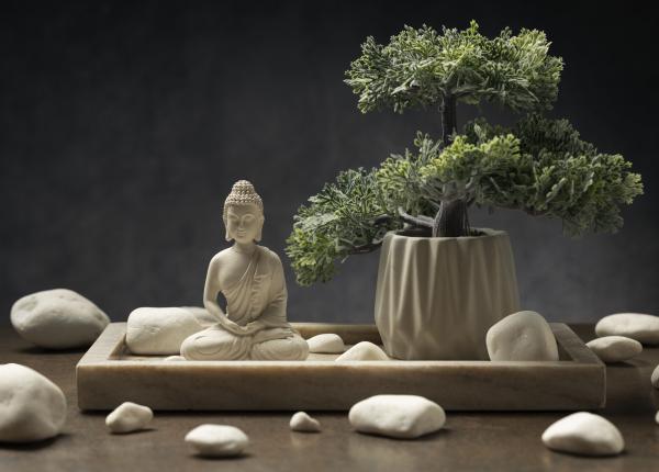 3 obiecte pe care trebuie sa le ai in casa conform feng shui atrag abundenta noroc si purifica aerul 3 obiecte pe care trebuie sa le ai in casa conform feng shui atrag abundenta noroc si purifica aerul