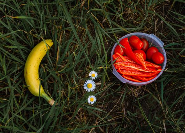 suplimentarea cu potasiu dupa chirurgia cardiaca reduce riscul de fibrilatie atrial