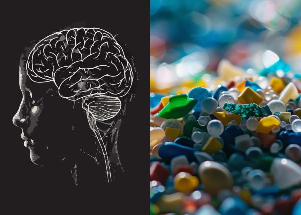 cum ajung nanoplasticele in creier si ce impact au asupra sanatatii