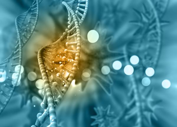 mieloperoxidaza tinta cheie pentru tratamente inovatoare in cancerul pancreatic