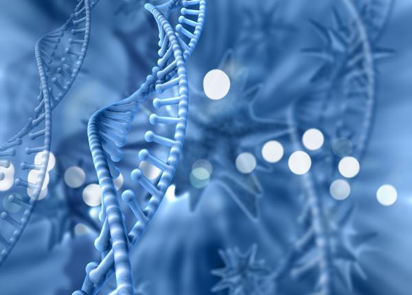 cinci factori cheie care indica succesul imunoterapiei