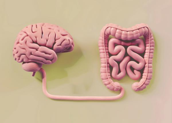 adevarul despre probiotice ce spune stiinta