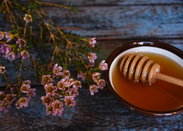 mierea de manuka o solutie naturala pentru problemele pielii