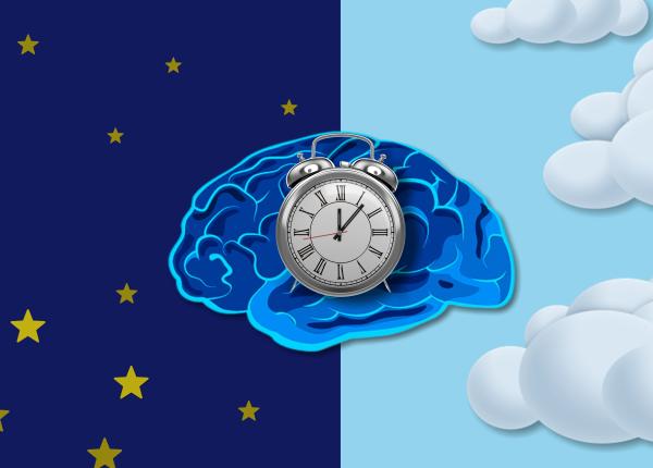 somnul cu unde lente impact asupra creierului