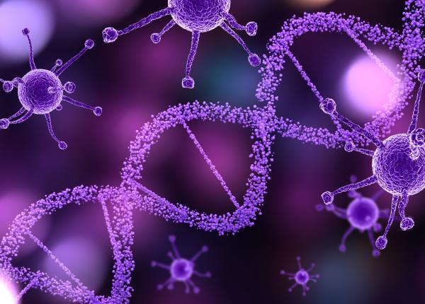 adaptarea ribozomilor strategii de camuflaj ale celulelor canceroase