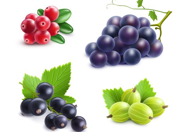 coacazele negre imbunatatesc starea de spirit si alunga oboseala mentala sarmentosina compusul care protejeaza hormonul fericirii