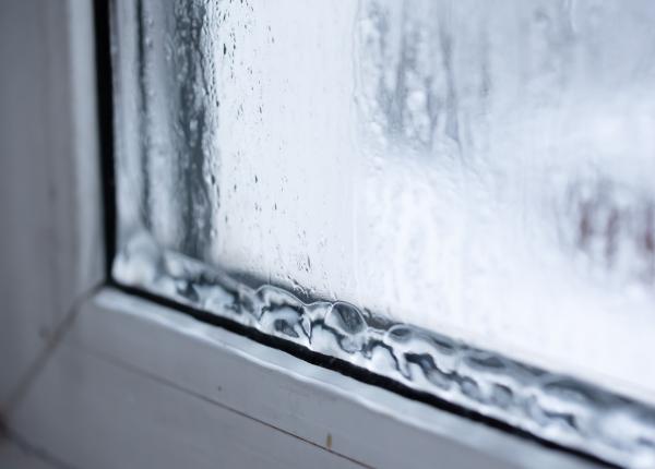 condens pe geamuri greseala pe care o faci solutia care sterge mucegaiul si condensul de pe geamuri