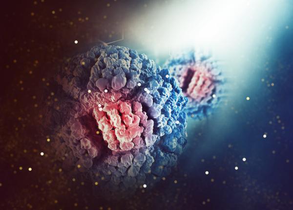 sistemul imunitar rol in dezvoltarea si tratarea cancerului