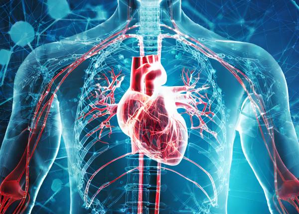 diabetul si boala renala amplifica riscul cardiovascular precoce diabetul si boala renala amplifica riscul cardiovascular precoce