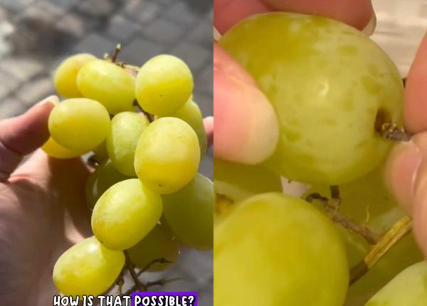 strugurii de gust de vata de zahar care au innebunit tiktok ul cum e posibil secretul natural al strugurilor cu gust de copilarie