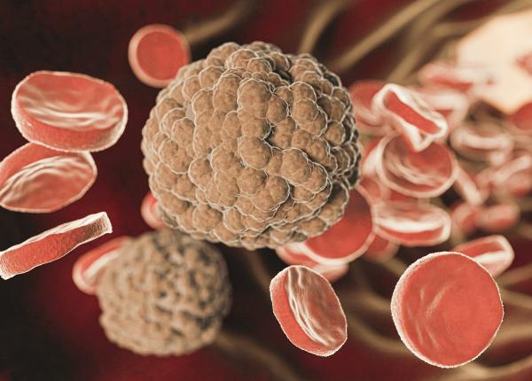 adevarul despre cancer cauza care schimba tot ce stiai 6 mituri gresite despre cancer adevarul despre cancer cauza care schimba tot ce stiai 6 mituri gresite despre cancer