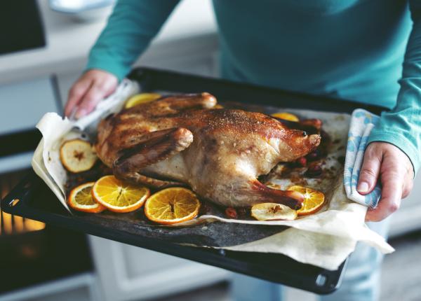 carnea de gasca secretul unui gust desavarsit