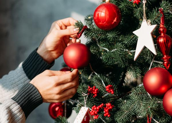 cel mai bun loc in care sa pui bradul de craciun aduce armonie bogatie si sanatate greseala pe care o faci mereu