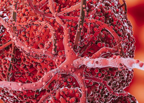 nucleoporin93 protein care poate inversa imbatranirea vasculara