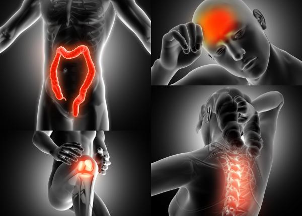 alimentatia sanatoasa reduce nivelul de durere cronica alimentatia sanatoasa reduce nivelul de durere cronica