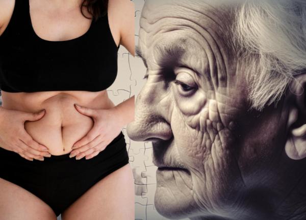 semnul care iti arata ca faci alzheimer cu 20 de ani inainte grasimea viscerala si creier semnul care iti arata ca faci alzheimer cu 20 de ani inainte grasimea viscerala si creier