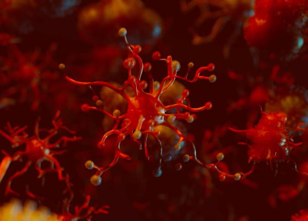 microplasticele din aer amenintare tot mai mare pentru sanatate