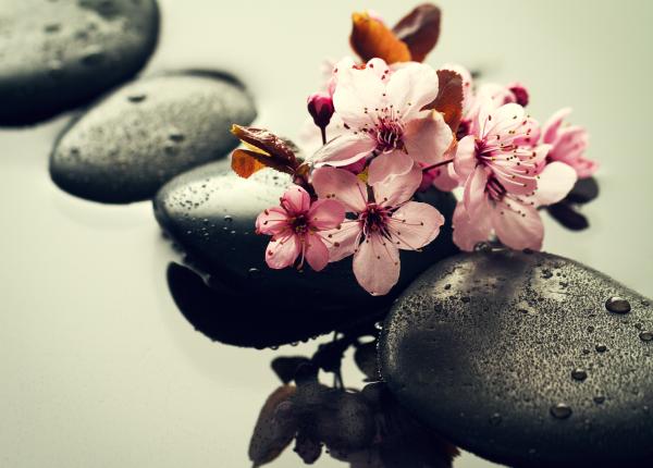 masajul dincolo de beneficiile relaxante are impact asupra longevitatii masajul dincolo de beneficiile relaxante are impact asupra longevitatii