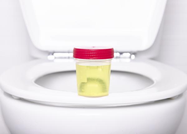 infectii urinare iarna greseala pe care o faci fara sa ti dai seama acest fruct te scapa de probleme infectii urinare iarna greseala pe care o faci fara sa ti dai seama acest fruct te scapa de probleme