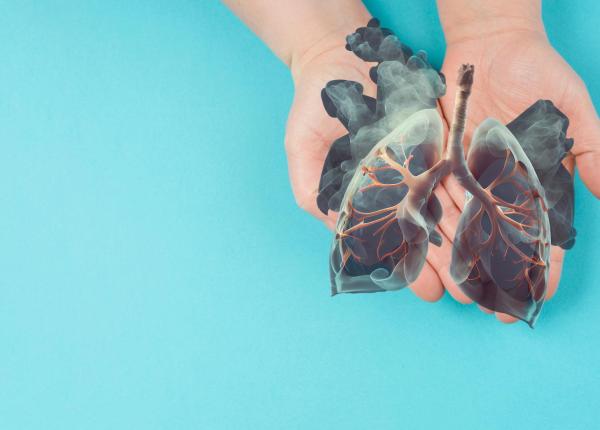 aspartatul factor cheie in metastazele cancerului la plamani aspartatul factor cheie in metastazele cancerului la plamani