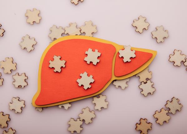 adevarul despre ficatul gras cauze si solutii