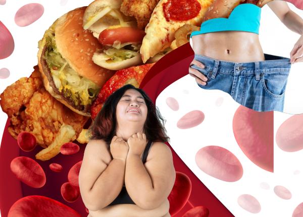 dieta paleo topeste zeci de kilograme reduce inflamatia din corp regleaza hormonii de ce o adora multe femei dieta paleo topeste zeci de kilograme reduce inflamatia din corp regleaza hormonii de ce o adora multe femei