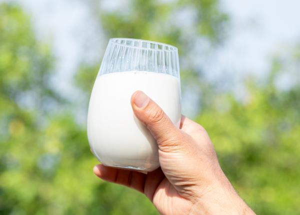 de ce este chefirul atat de sanatos beneficiile acestui superaliment si cum sa alegi cel mai sanatos chefir de ce este chefirul atat de sanatos beneficiile acestui superaliment si cum sa alegi cel mai sanatos chefir