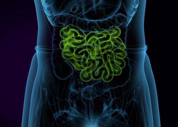 am avut gaze si m am balonat in ultimele luni ce este sindromul intestinului permeabil am avut gaze si m am balonat in ultimele luni ce este sindromul intestinului permeabil
