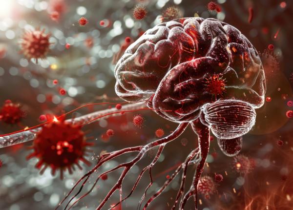 disfunctia vaselor de sange din lobii temporali biomarker timpuriu al dementei