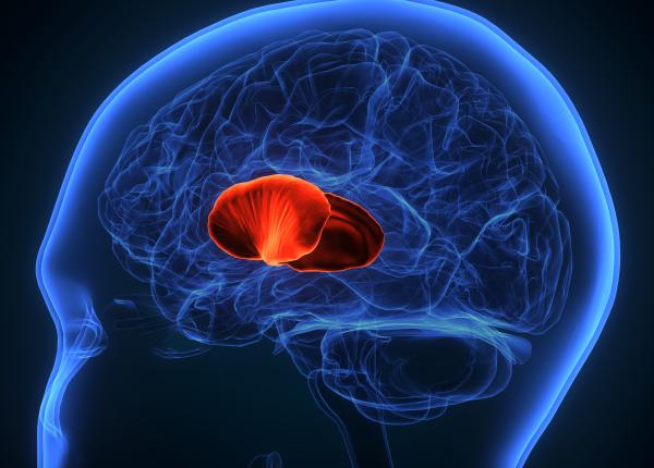 operatie in premiera pentru o tumora neoperabila o femeie cu cancer cerebral salvata a ramas doar cu o mica cicatrice langa ochi operatie in premiera pentru o tumora neoperabila o femeie cu cancer cerebral salvata a ramas doar cu o mica cicatrice langa ochi