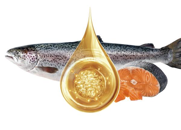 ce nu ai stiut despre uleiul de peste adevarul despre omega 3 citeste asta inainte sa mai iei suplimente ce nu ai stiut despre uleiul de peste adevarul despre omega 3 citeste asta inainte sa mai iei suplimente