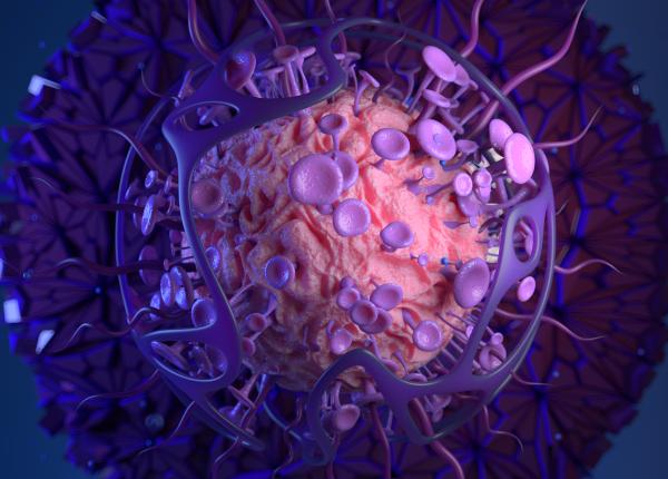 cercetatorii italieni au descoperit ca o gena provoaca boala alzheimer