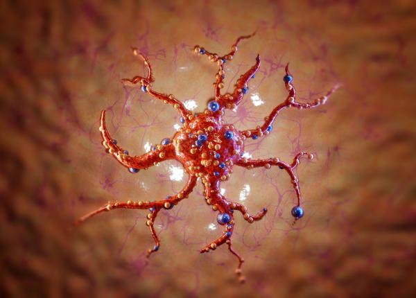 medicamentul care distruge cele mai mici tumori cancerul de san medicamentul care distruge cele mai mici tumori cancerul de san