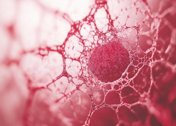 adn si arn sistemul complementar care lupta impotriva cancerului adn si arn sistemul complementar care lupta impotriva cancerului