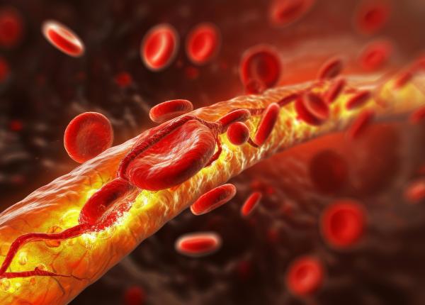 colesterolul hdl impact negativ